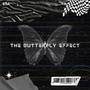The Butterfly Effect (Explicit)