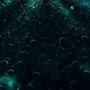 dont leave the party