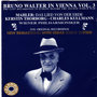 Bruno Walter in Vienna, Vol. 3