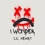 I WONDER (Explicit)