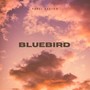 Bluebird