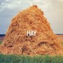 HAY