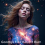 Goodbye Like It Didn't Burn