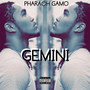 Gemini (Explicit)