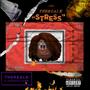 Stress (Explicit)