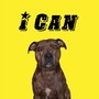 I Can