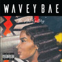 WaveyBae THE ART GALLERY (Explicit)