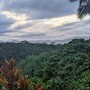 Kauai Rain