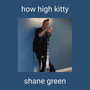 how high kitty (Explicit)