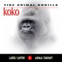 Koko - Fine Animal Gorilla