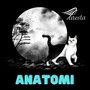 Anatomi