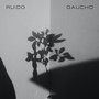 Ruido Gaucho