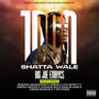 1Don (SHATTA WALE) (feat. Hye Spiryt, Kweku Waves, Ovanda Boi, Cee Nation, T-Revenge & Reborn Grandpa) [Explicit]