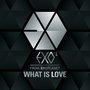 'WHAT IS LOVE' EXO-K 프롤로그 싱글 1st