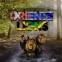 Oriente Lions