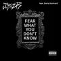 Fear What You Don't Know (feat. David Packard)