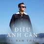 Điều Anh Cần (YTM)