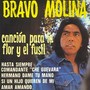 Canción para la Flor y el Fusil