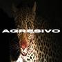 AGRESIVO (Explicit)