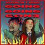 Going Going Gone (feat. Raeusi) [Explicit]