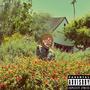 Sugar Plums (Explicit)