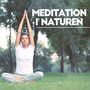 Lugnande Meditation Till Ljuden I Naturen