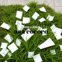 aaa eoeoeo