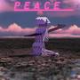 Peace (feat. SLN) [Explicit]