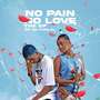 No Pain No Love