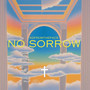 NO SORROW