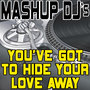 You've Got To Hide Your Love Away (Remix Tools For Mash-Ups)