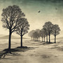 The Ash Grove