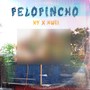 Pelopincho