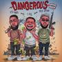 Dangerous (feat. T-Rell & Brick Soprano) [Explicit]