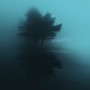 memories in the past