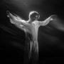 Cosmos