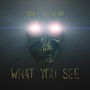 What You See