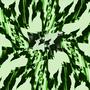 Can't Complain 2 (Explicit)