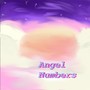 Angel Numbers