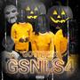 GSNLS4 (Explicit)