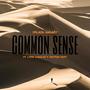 Common Sense (feat. Lyssa Corales & Trip'yon Post)