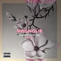 magnolie (acoustic) (feat. TDW CREW) [Explicit]