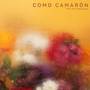 Como Camarón (Cover)