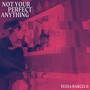 Not Your Perfect Anything (Explicit)