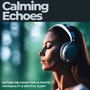 Calming Echoes: Nature Melodies for Ultimate Tranquility & Restful Sleep
