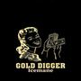 Gold Digger (Explicit)