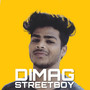 DIMAG