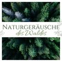 Naturgeräusche des Waldes: Einschlafen Musik mit Waldgeräusche, Wasser, Grillen und Vögel