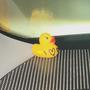 DUCK U