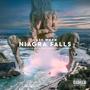 Niagra Falls (feat. King vito & Brixx litty) [Explicit]